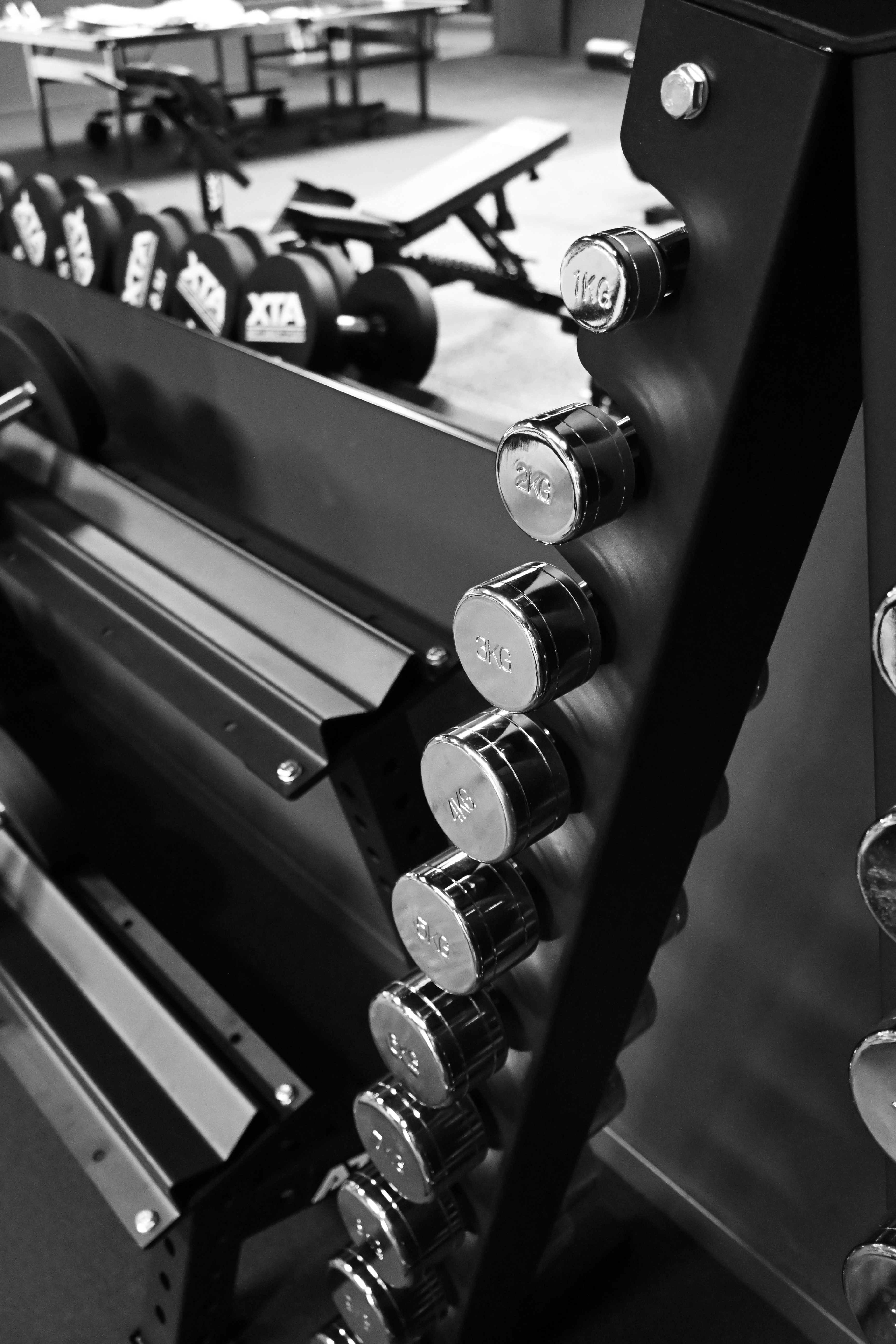 Fitnessstudio Freihantelbereich Thumbnail